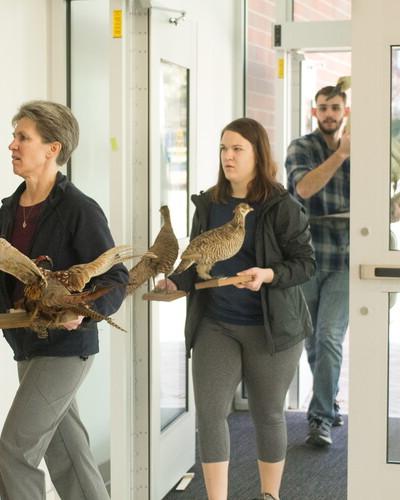 Students carry in taxidermied animals.